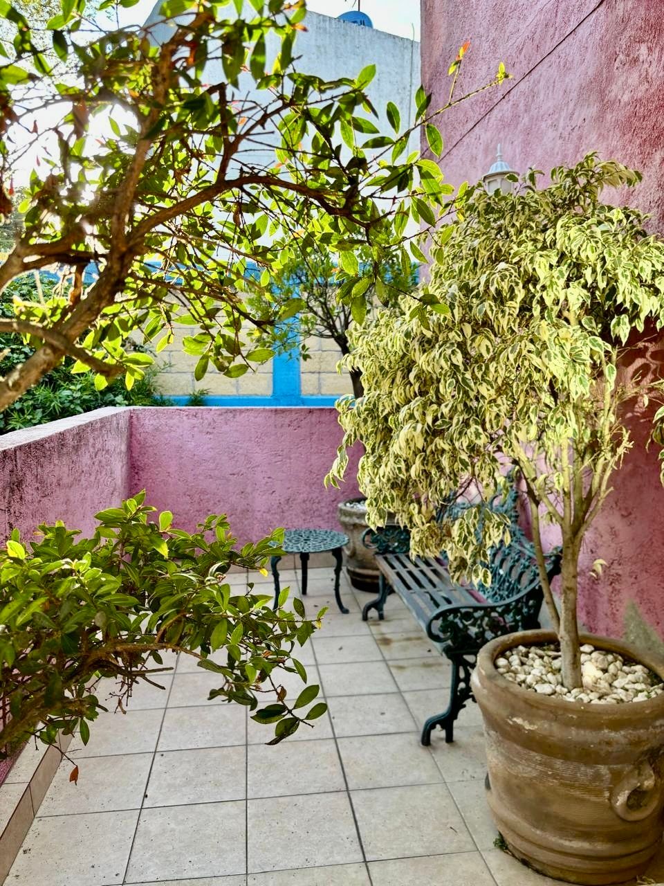 Foto 19