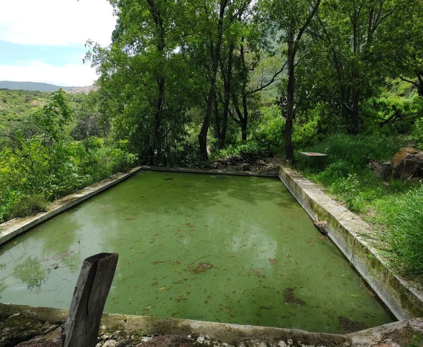 Foto 6