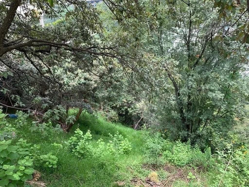 Lote en venta · Bosques de las Lomas, Cuajimalpa de Morelos, Ciudad de México