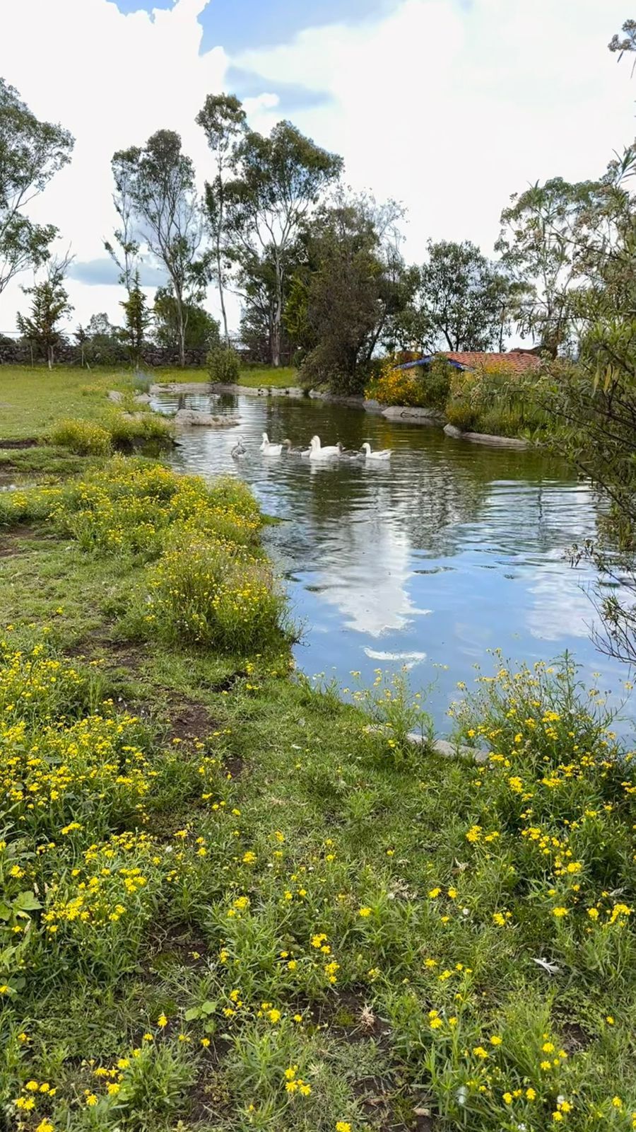 Foto 21