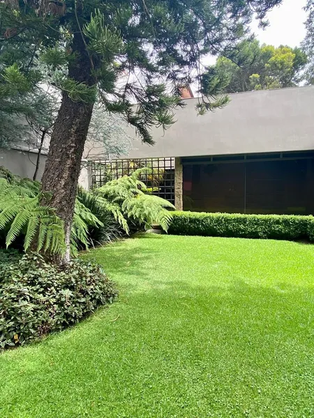 Foto 5