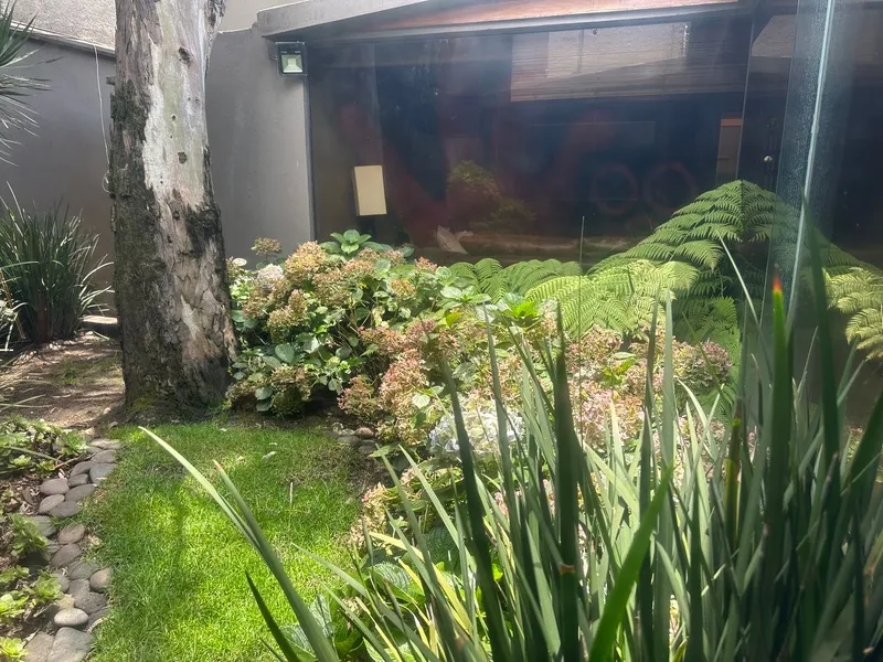 Foto 12