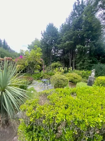 Foto 14