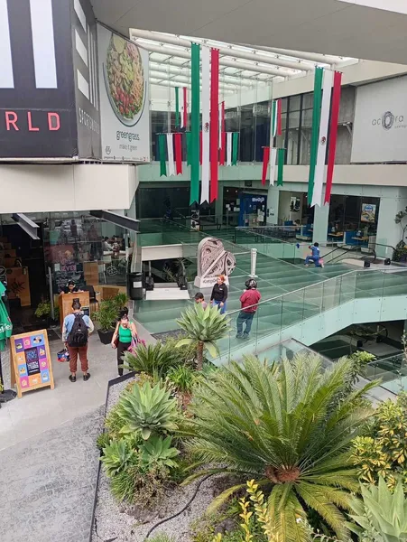 Comercio en renta · Jardines del Pedregal de San Ángel, Coyoacán, Ciudad de México