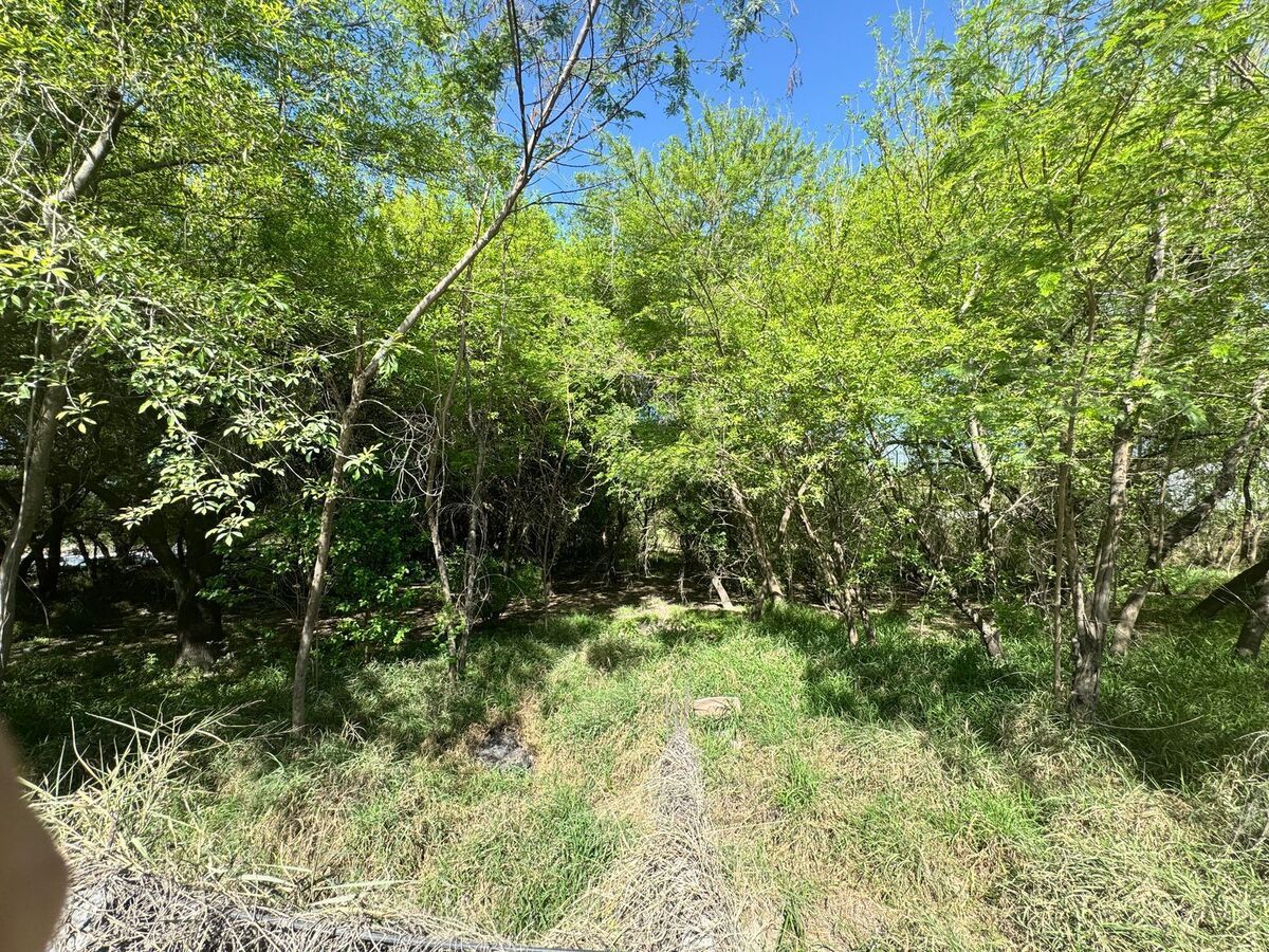 Lote en venta · Benito Juárez, Monterrey, Nuevo León