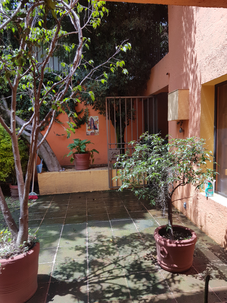 Foto 6