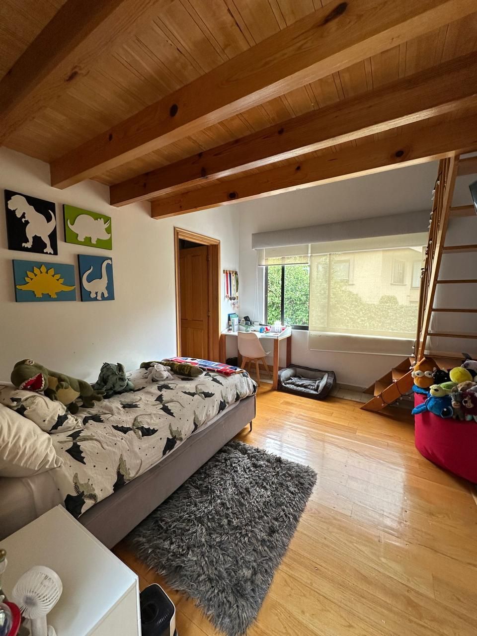 Foto 20
