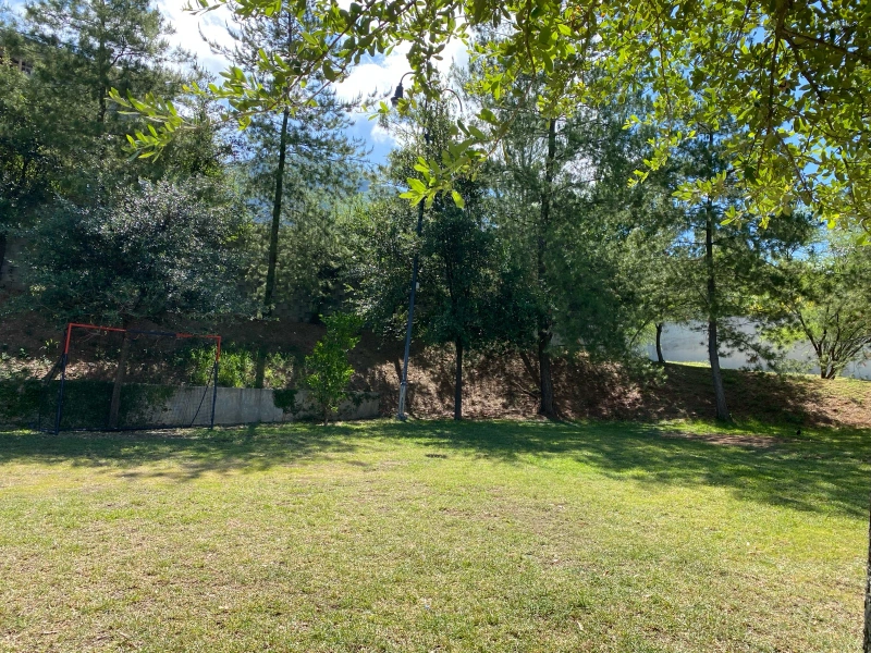 Foto 11