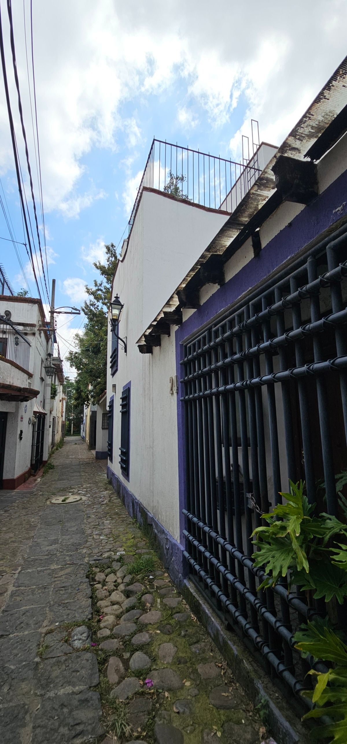 Foto 43