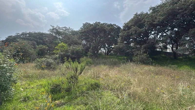 Foto 17