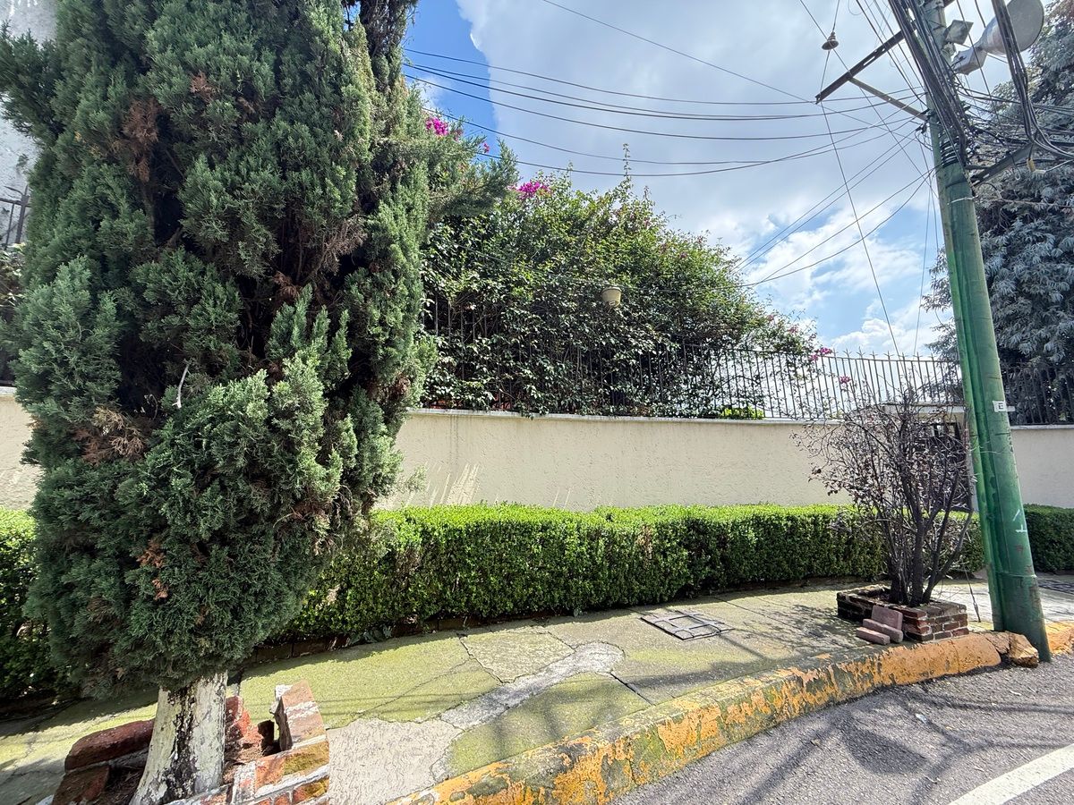 Foto 50