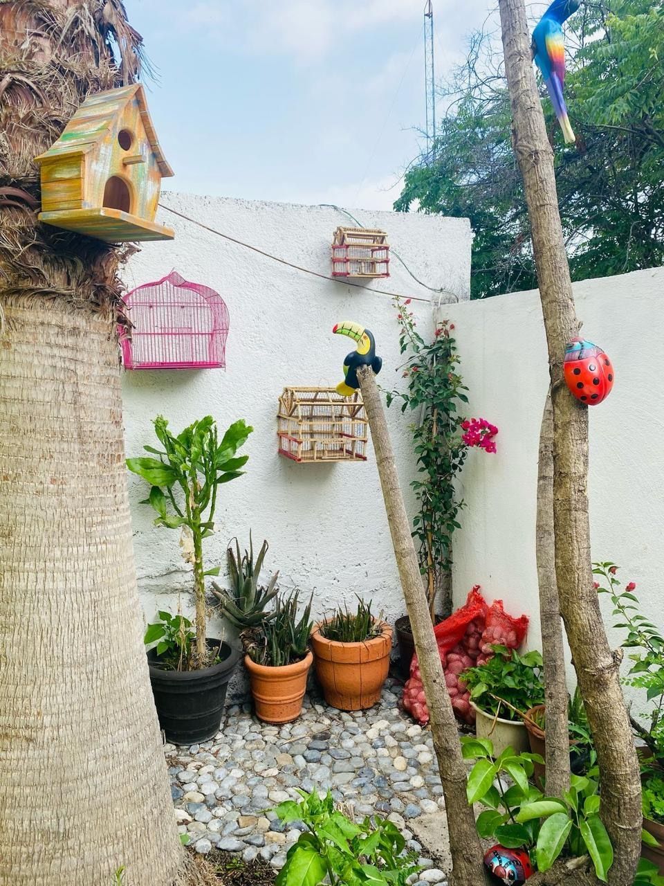 Foto 14
