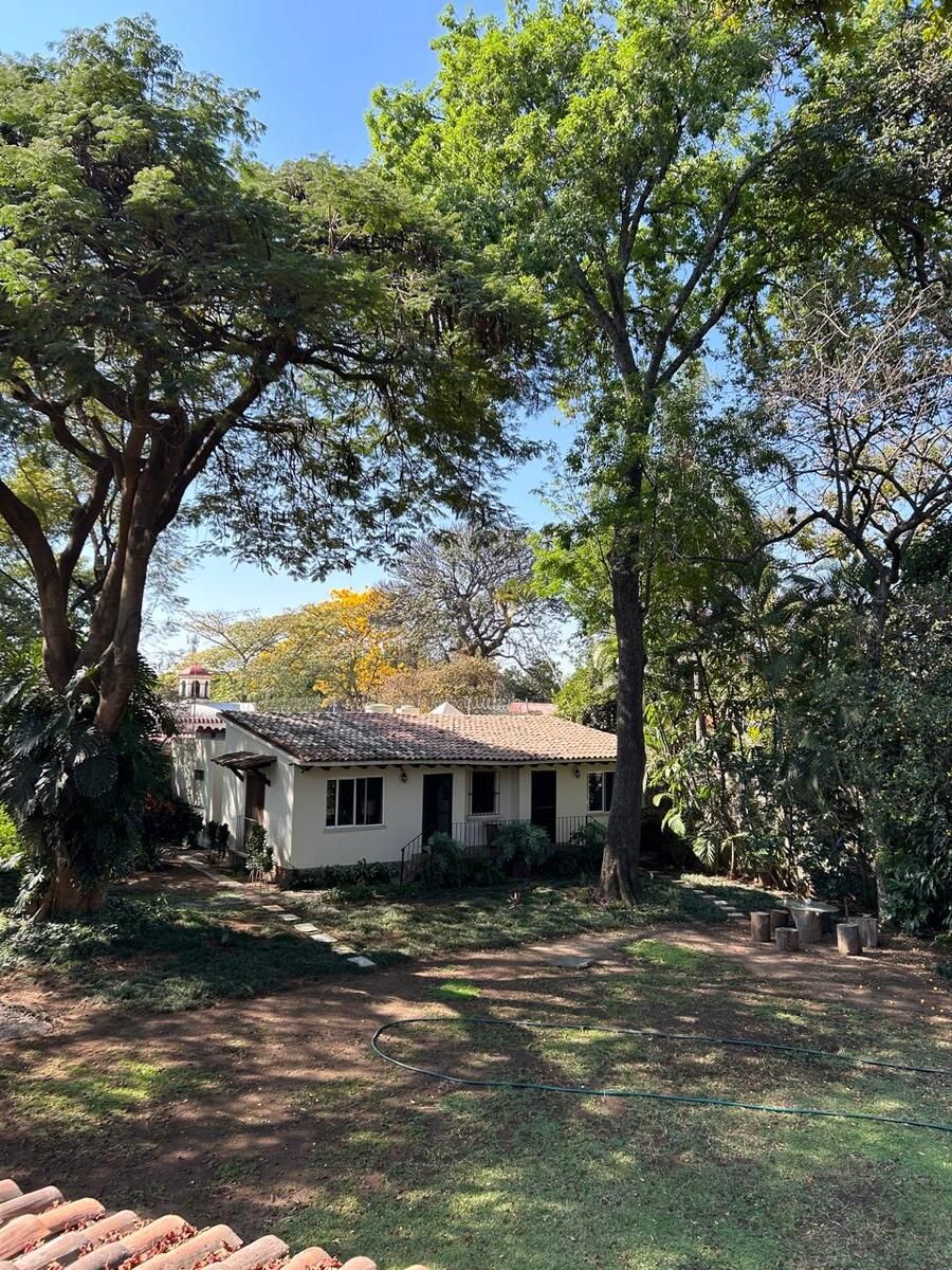 Foto 14