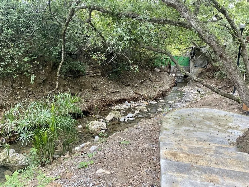 Foto 6