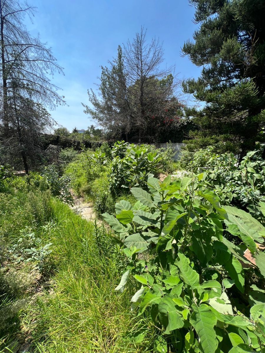 Lote en venta · San Jerónimo Lídice, La Magdalena Contreras, Ciudad de México