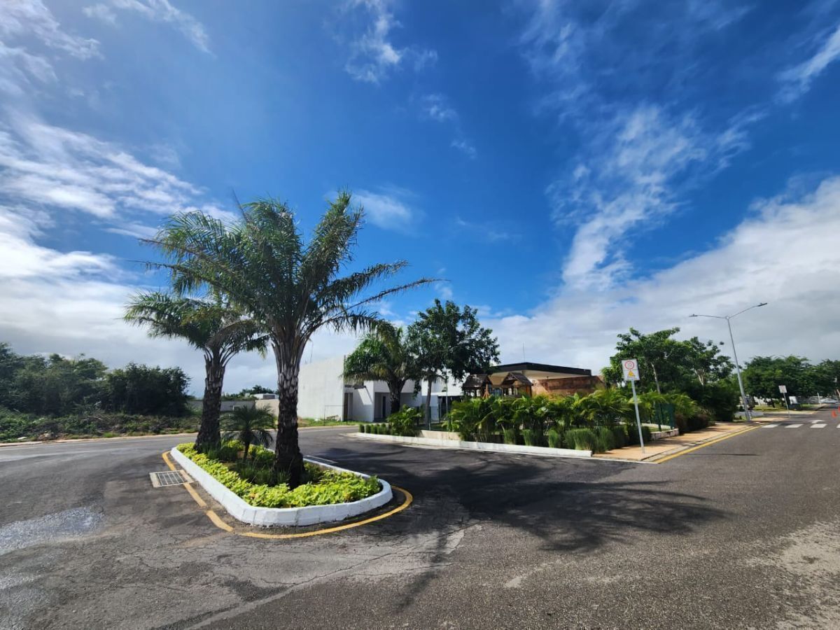 Foto 21