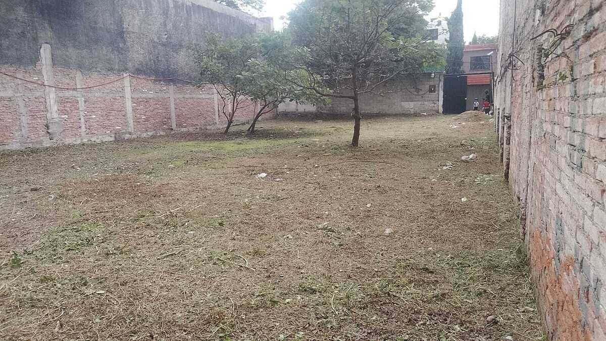 Foto 5