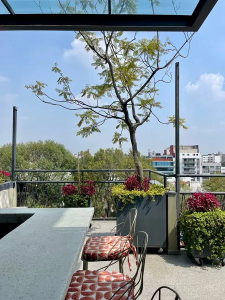 Foto 41