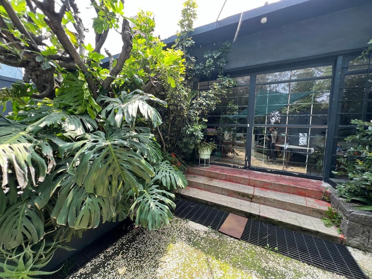 Foto 7