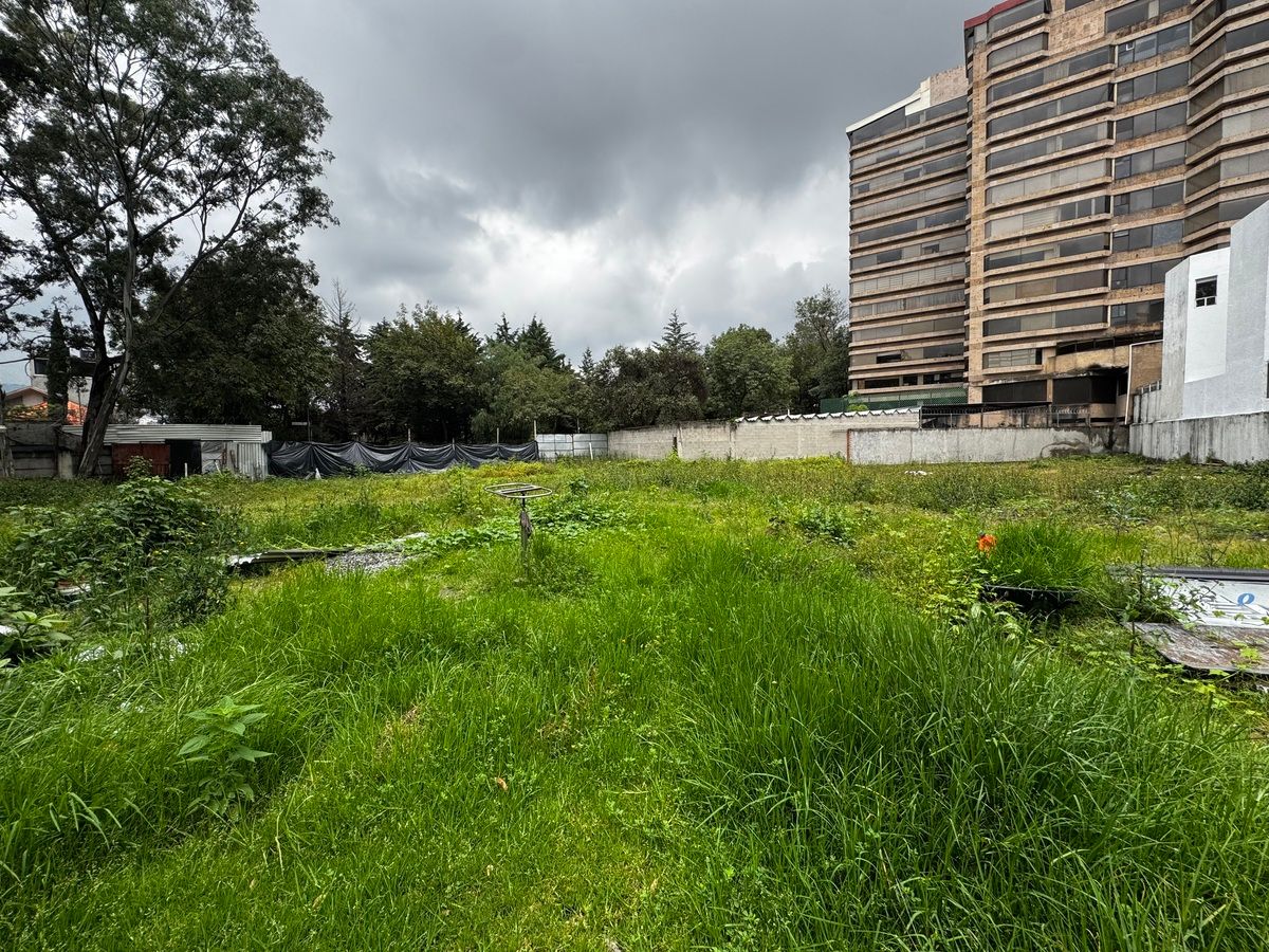 Lote en venta · Fuentes del Pedregal, Tlalpan, Ciudad de México