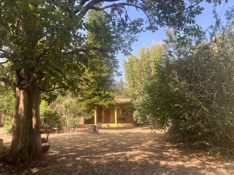 Foto 19