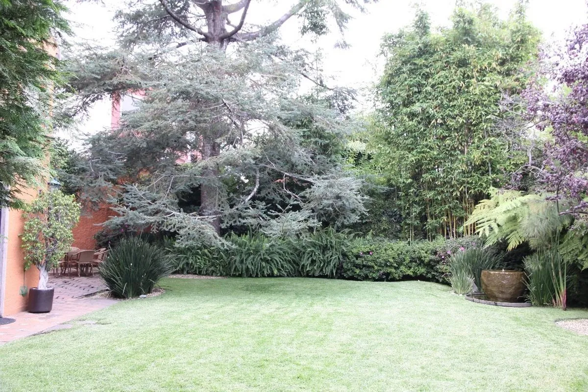 Foto 19