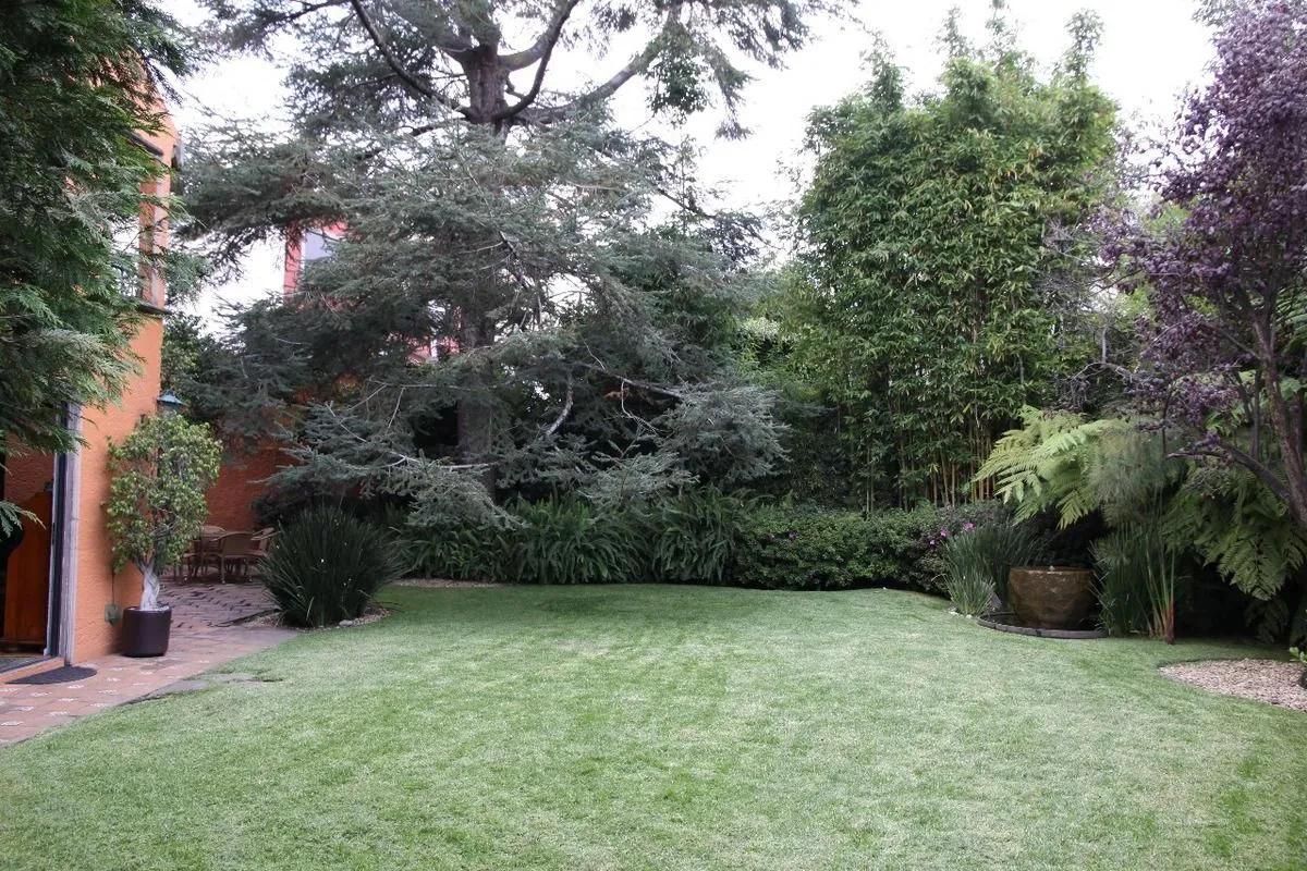 Foto 15