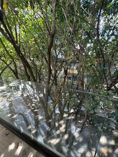 Foto 36