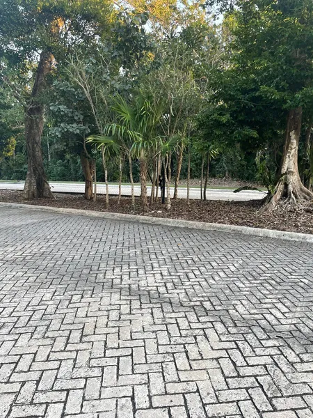 Foto 42