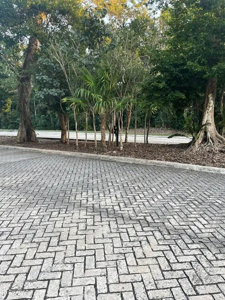 Foto 30