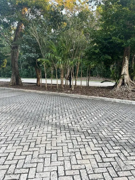 Foto 45