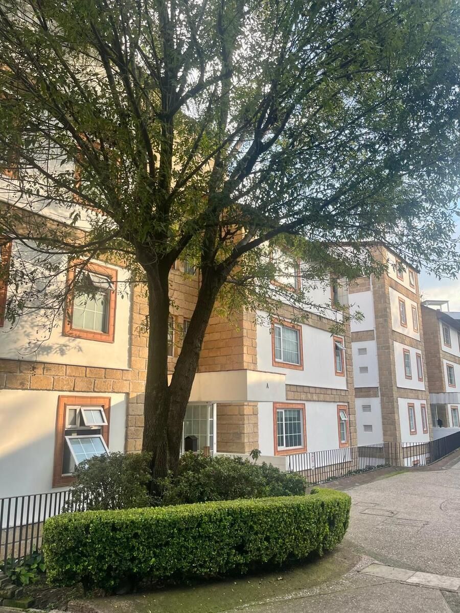 Foto 12