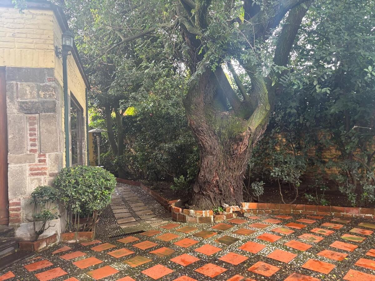 Foto 7