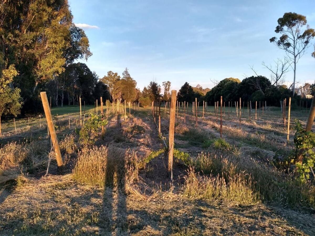 Foto 14