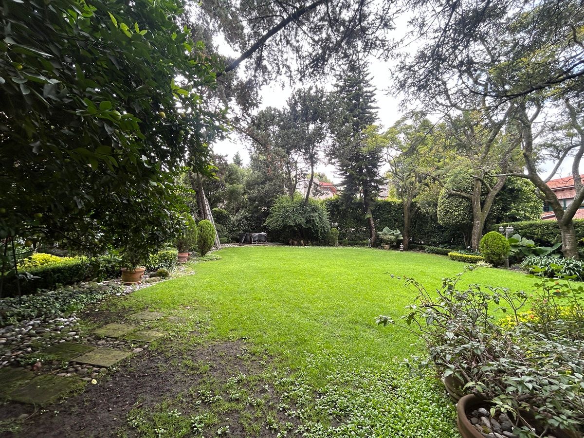 Foto 41