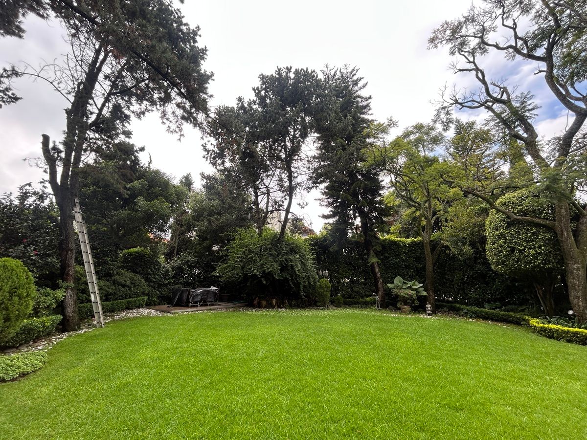 Foto 45
