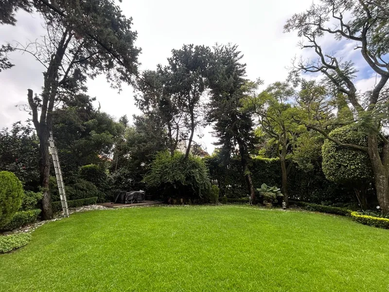 Foto 45