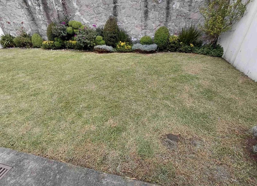 Foto 48