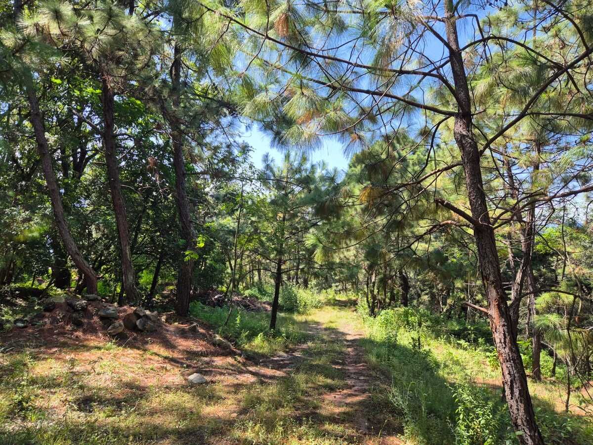 Lote en venta · Santa Magdalena Tilostoc, Valle de Bravo, Estado de México