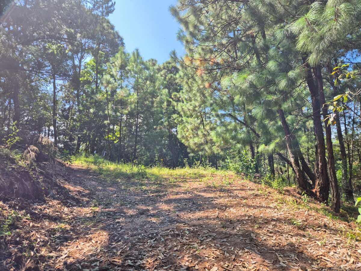 Lote en venta · Santa Magdalena Tilostoc, Valle de Bravo, Estado de México