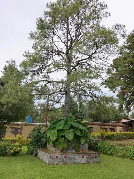 Foto 7