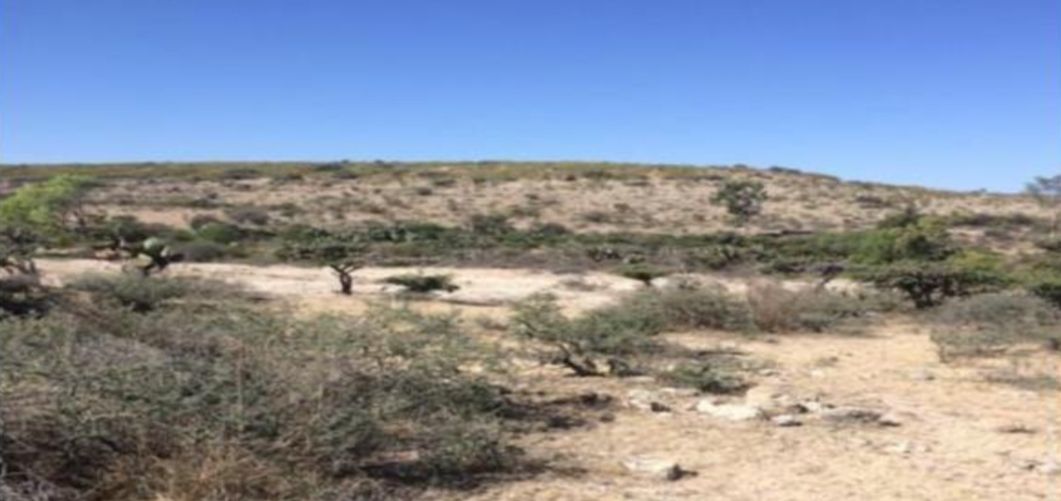 Lote en venta · El Tepetate, San José Iturbide, Guanajuato