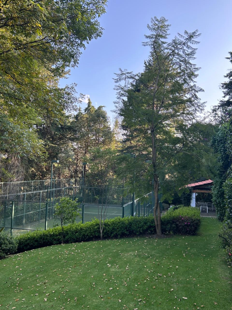 Foto 6