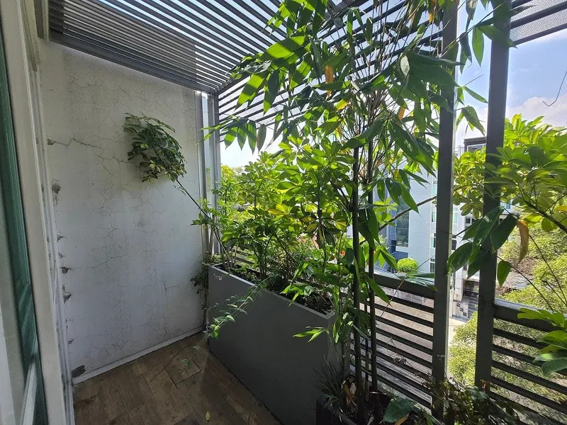 Foto 19