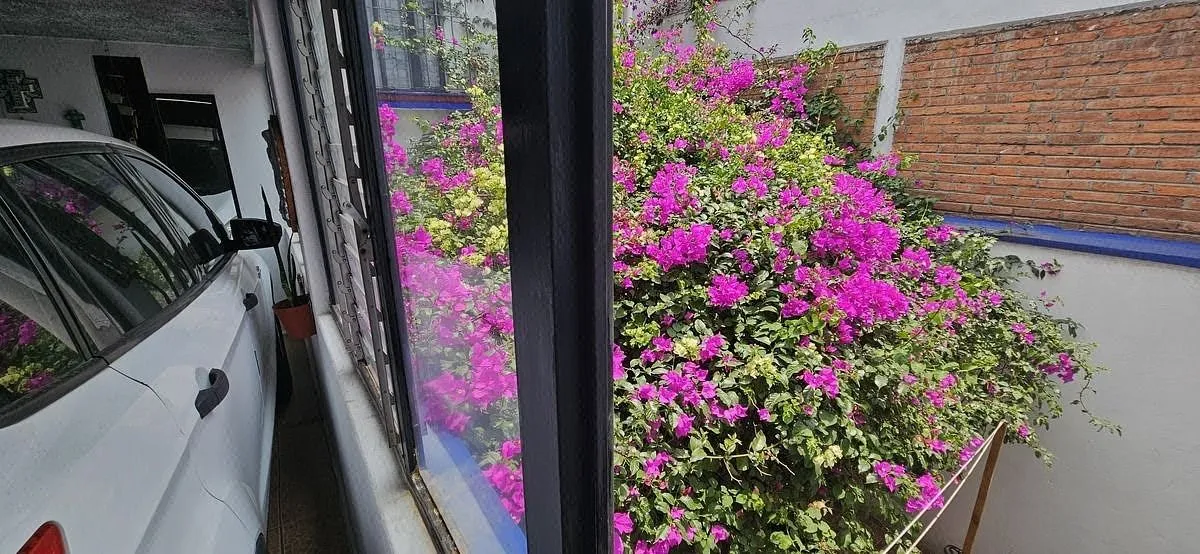 Foto 36