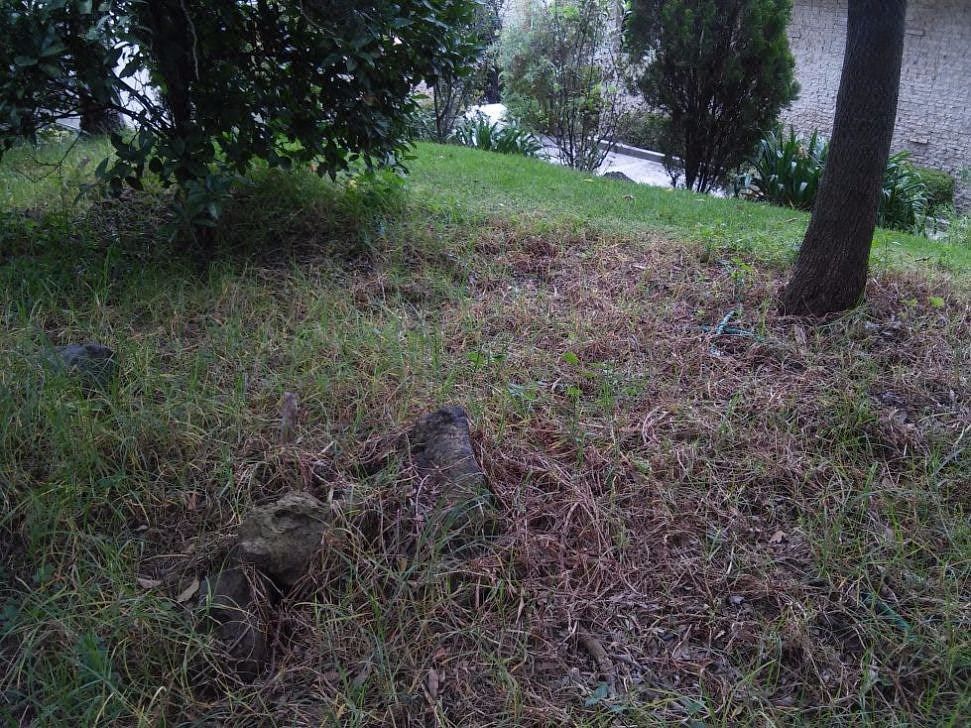 Foto 8