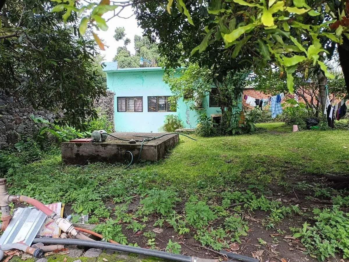Foto 11
