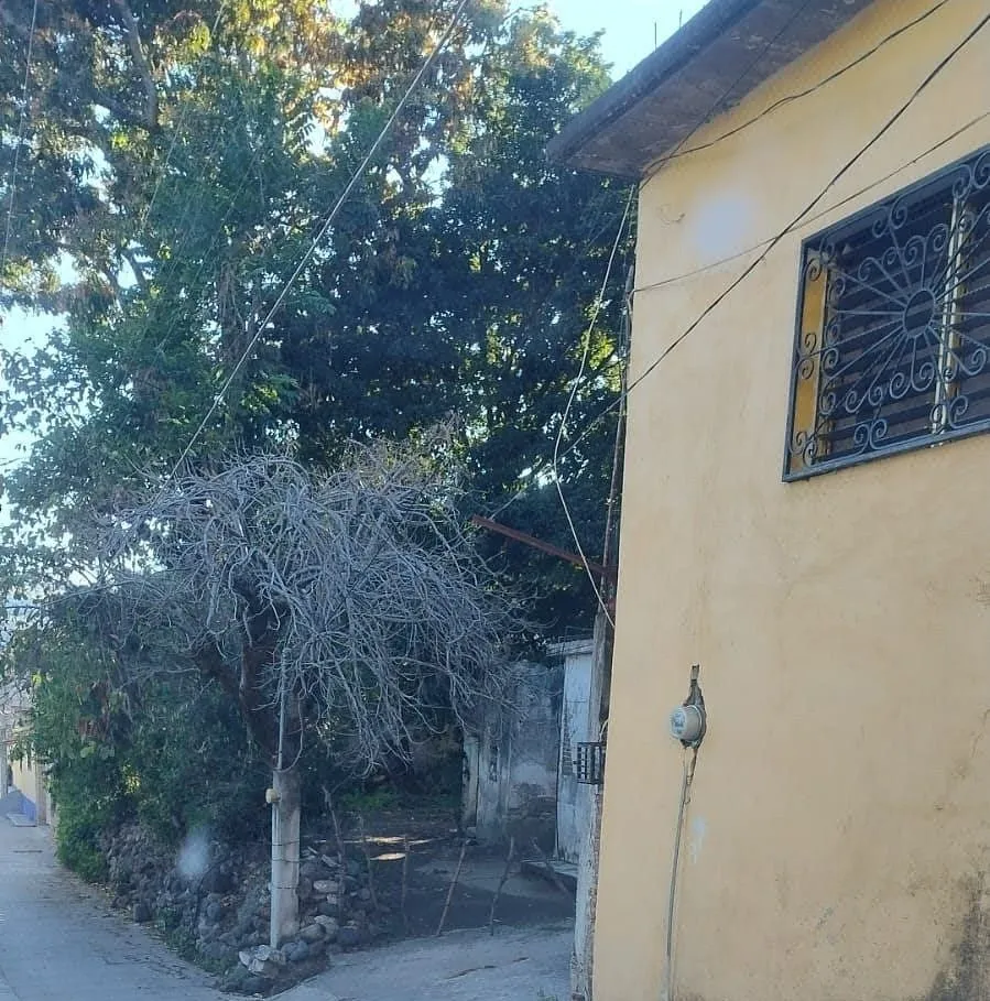 Foto 6
