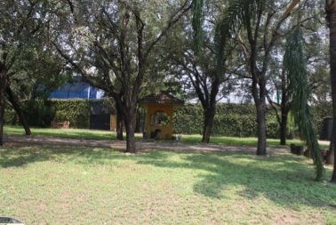 Foto 12