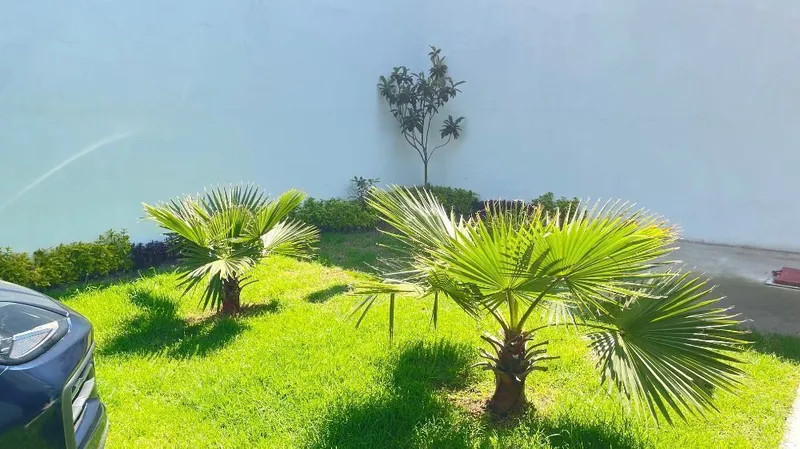 Foto 10